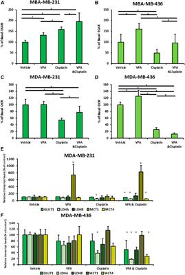 Valproic acid reprograms the metabolic aberration of cisplatin treatment via ALDH modulation in triple-negative breast cancer cells